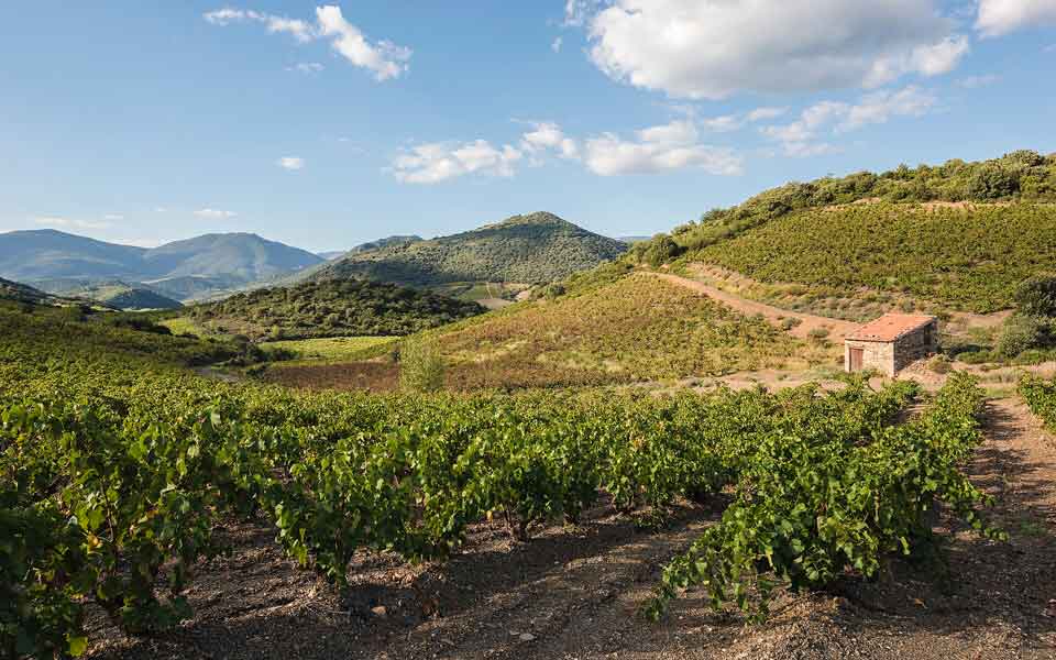 Colinas e vinhas em Roquebrun, no Languedoc